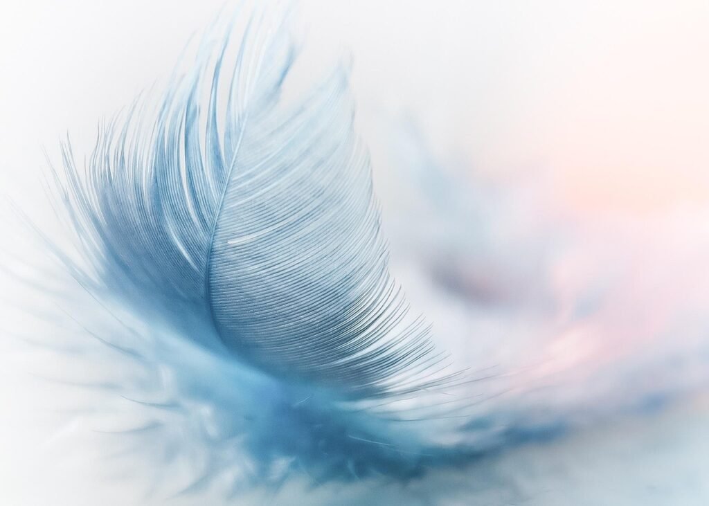 feather, hd wallpaper, ease, slightly, blue, airy, nature background, close up, featherweight, flying, wind, lightweight, nature, nature wallpaper, ostrich feather, fluffy, swing, beautiful nature, float, cool wallpaper